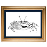 Fiddler Crab Original Illustration - B&W