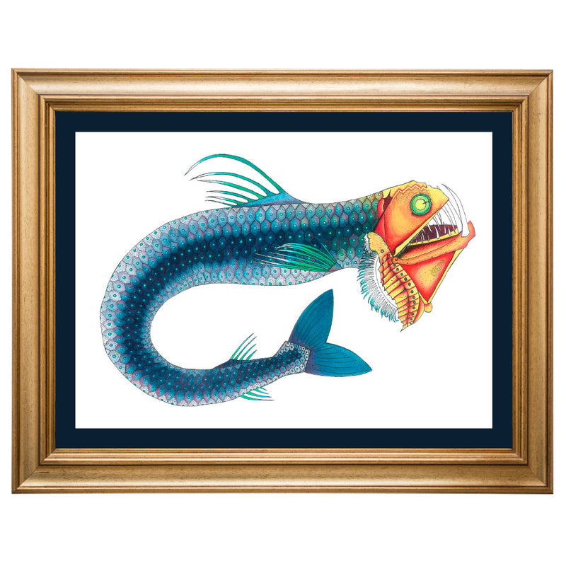 Viper Fish Original Illustration - Colour