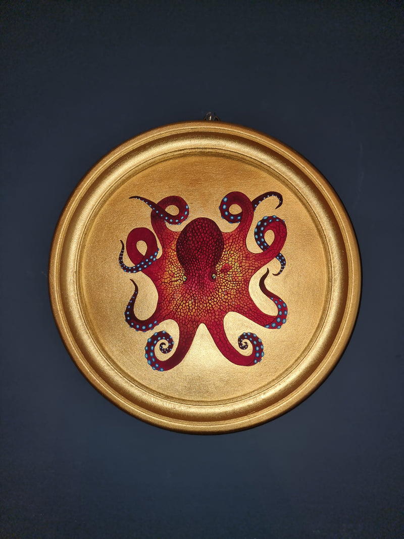 Octopus