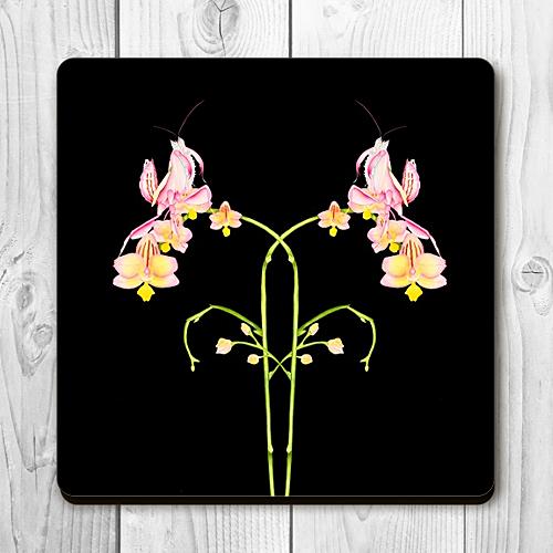 Orchid Mantis Coaster
