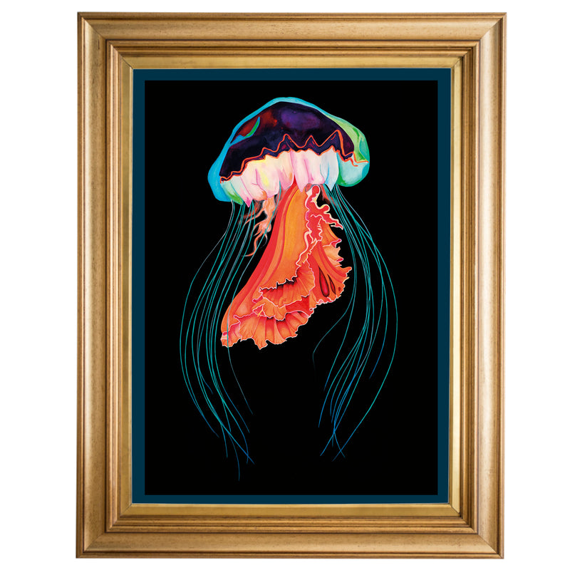 Jellyfish