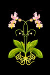 Orchid Mantis Tea Towel