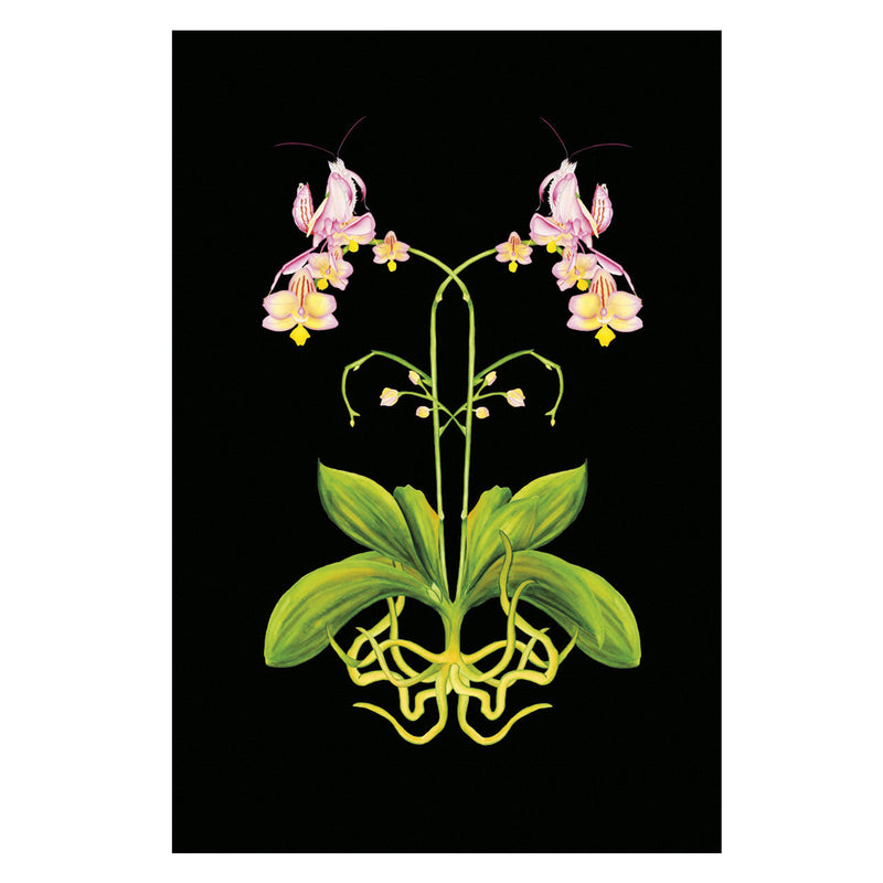 Orchid Mantis Tea Towel