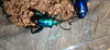 Sagra buqueti Frog Legged Beetles