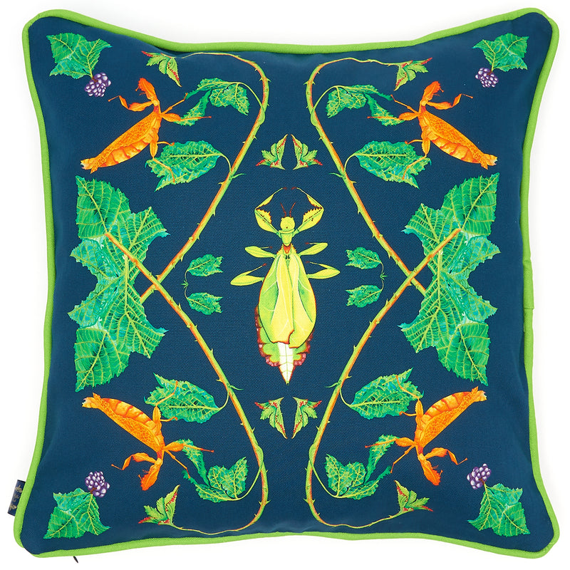 Phyllium Cushion