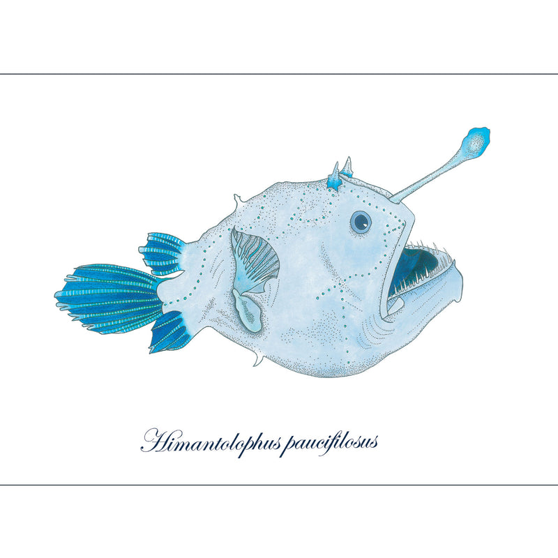 Angler Fish Art Print