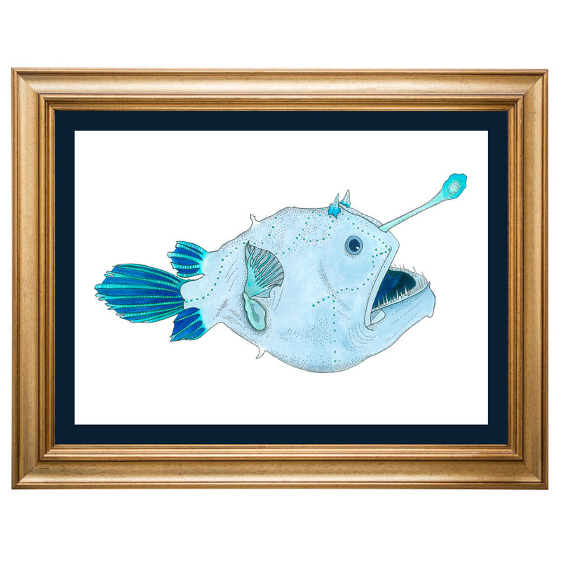 Angler Fish Original Illustration - Colour