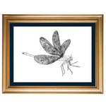 Damselfly Original Illustration - B&W