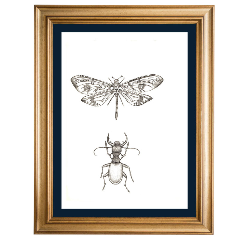 Beetle and Dragonfly Original Illustration - B&W
