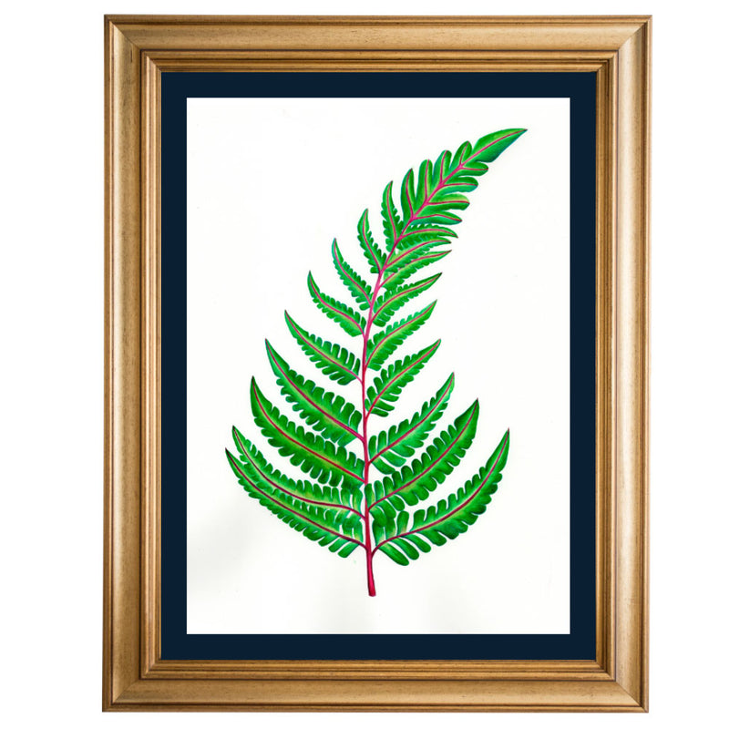 Fern Original Illustration - Colour