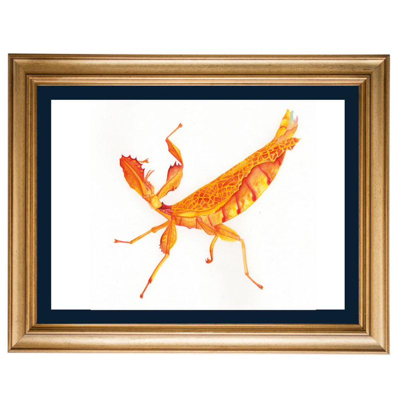 Autumn Leaf Insect 'Jean Grey' Original Illustration - Colour