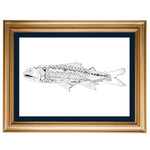Lantern Fish Original Illustration - B&W