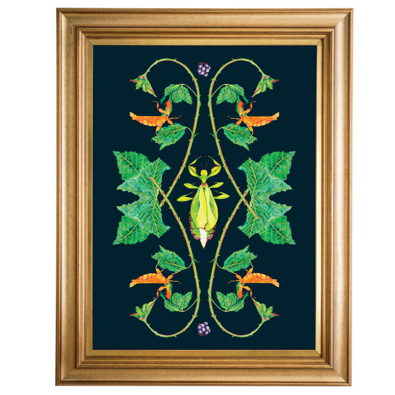 Leaf Insect Giclee Print