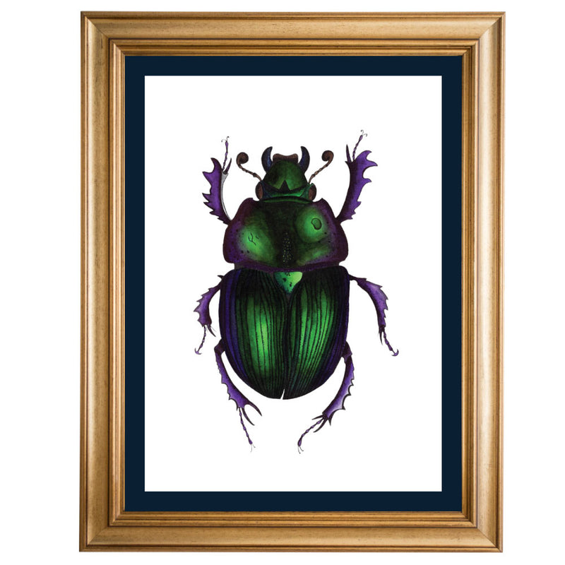 Violet Dor Beetle - Original Illustration - Colour