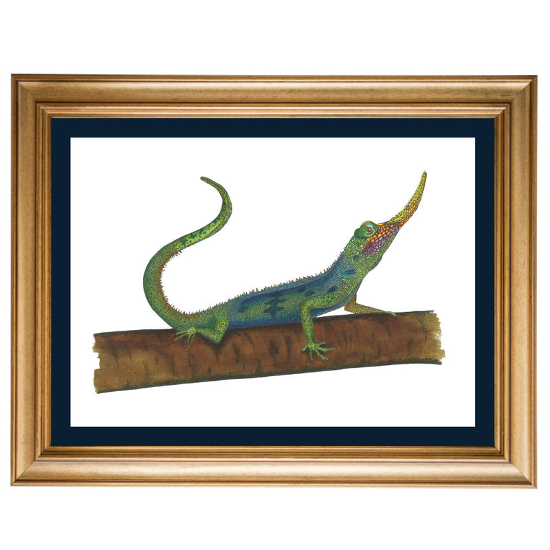 Pinocchio Lizard Original Illustration - Colour