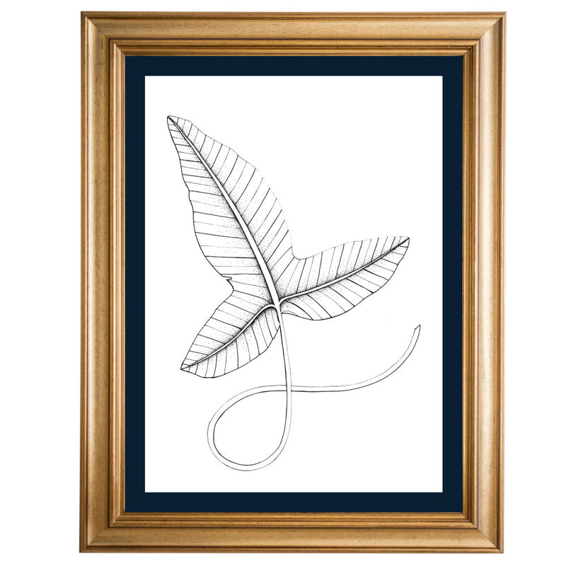 Rainforest Leaf 2 Original Illustration - B&W
