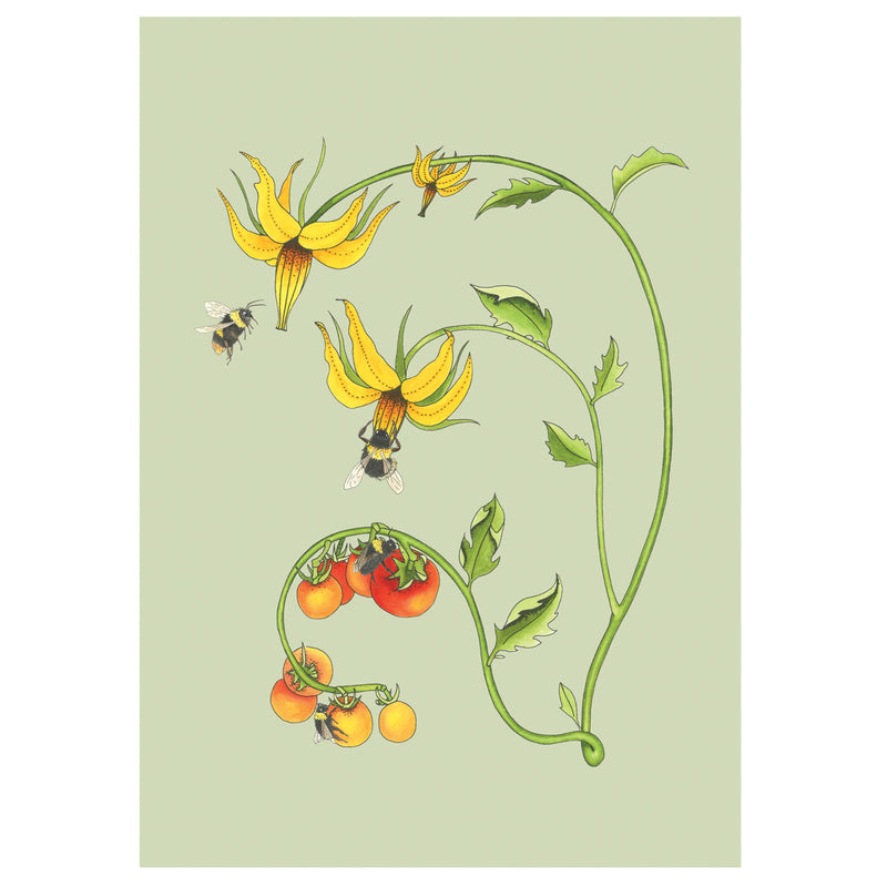 Bee and Tomato Plant Art Print