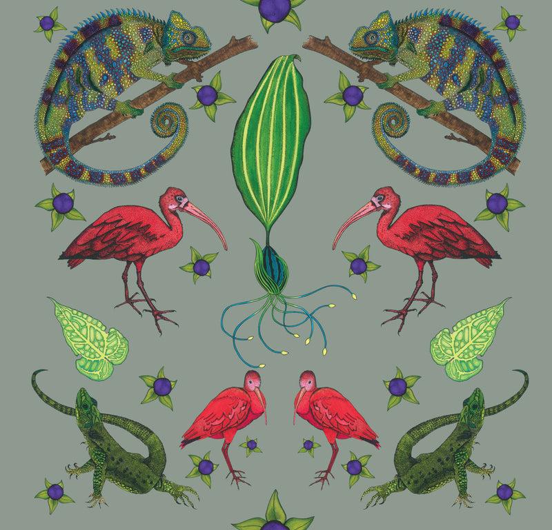 Tropical Chameleons