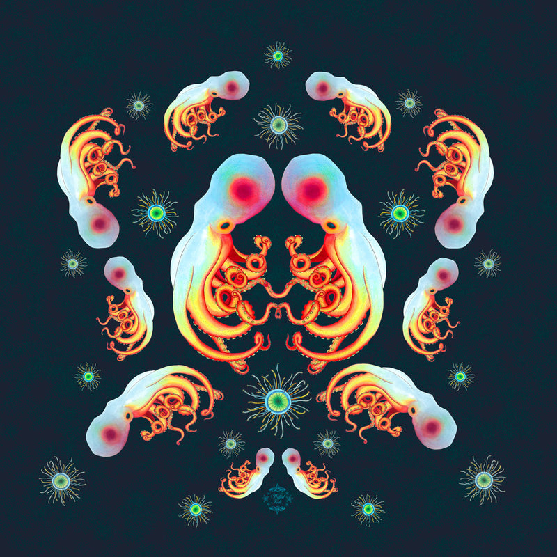 Ltd Edition Octopus Silk Scarf