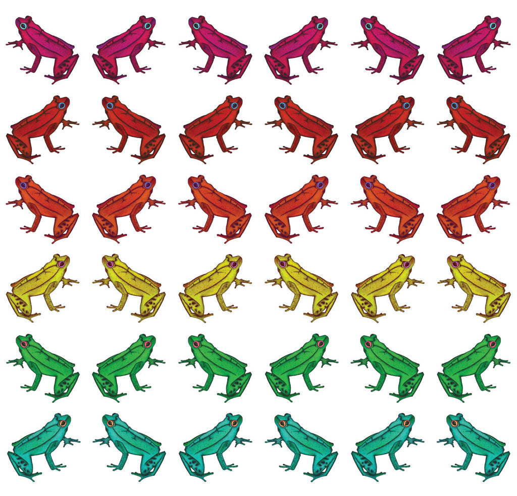 Multicoloured illustrated tropical frog wallpaper with frogs in a pattern facing each other and back to back