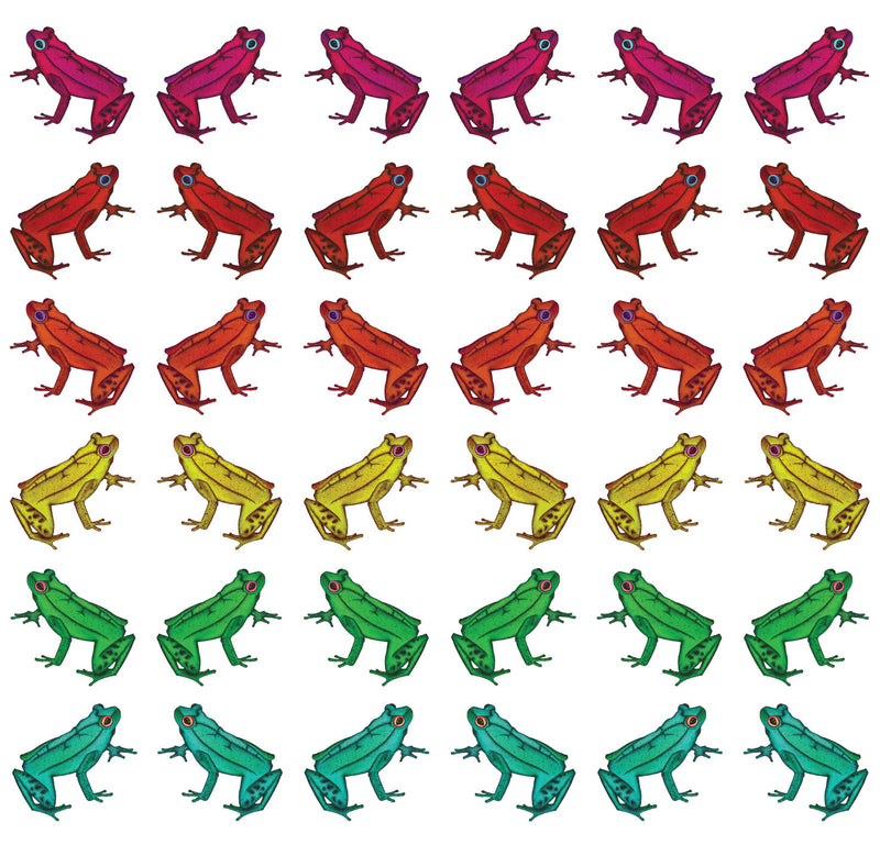 Multicoloured illustrated tropical frog wallpaper with frogs in a pattern facing each other and back to back