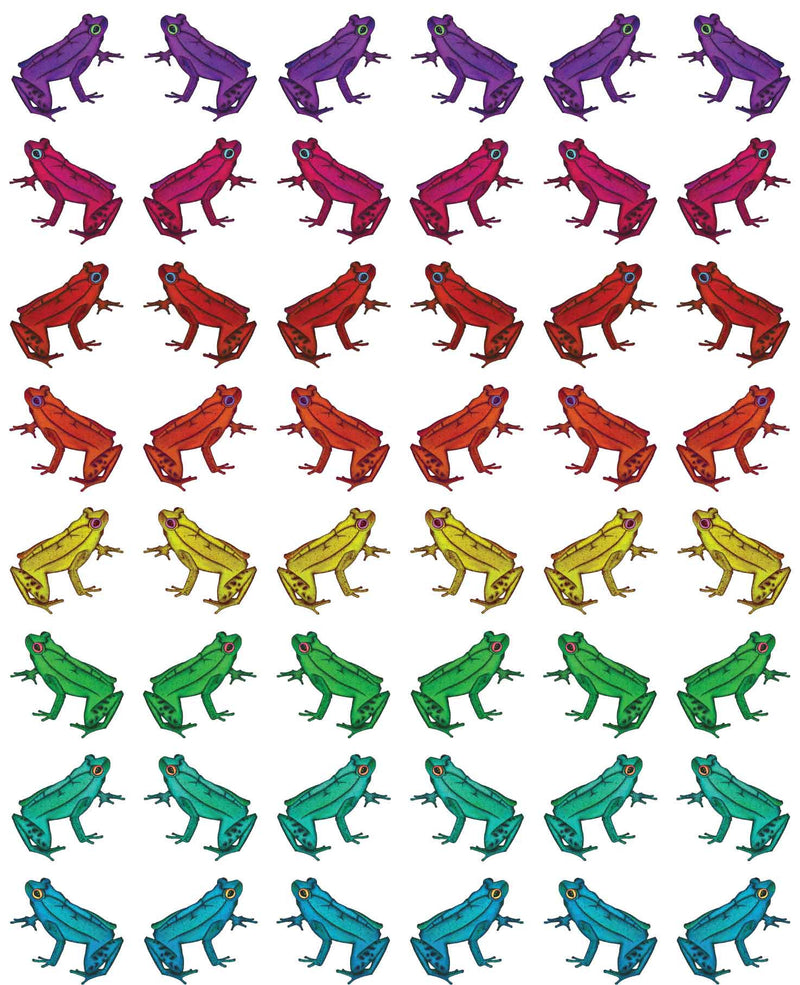 Illustrated multicoloured frogs on a white background on this patterned frog wallpaper