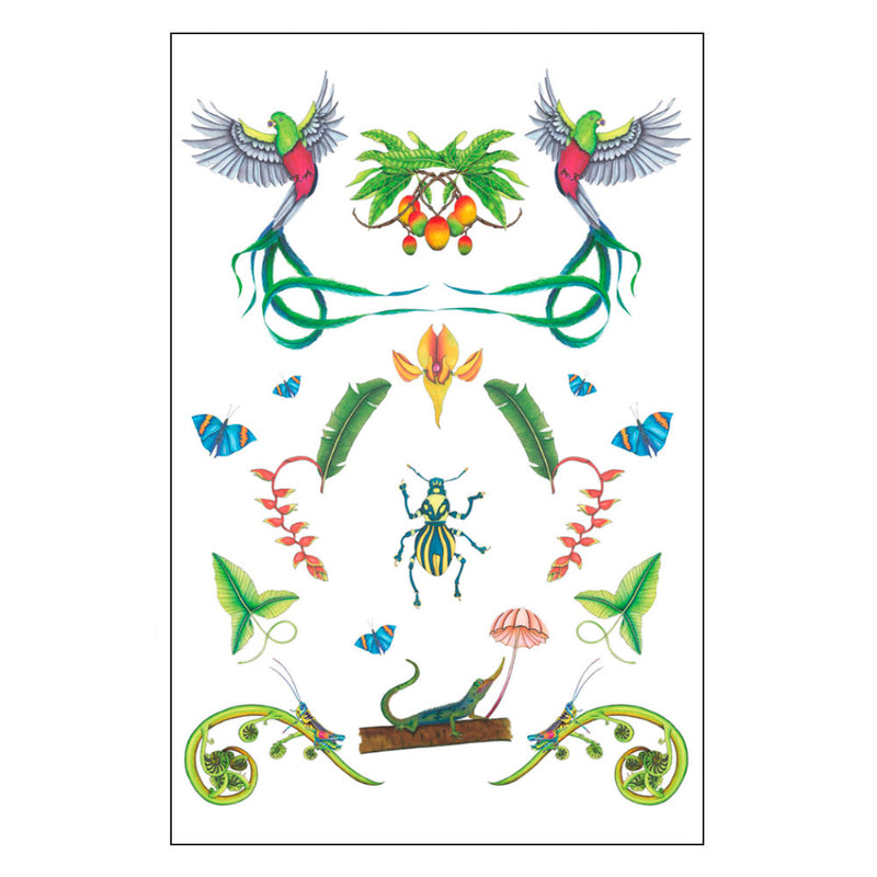 Rainforest Art Print