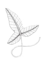 Rainforest Leaf 2 Original Illustration - B&W
