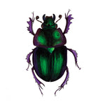 Violet Dor Beetle - Original Illustration - Colour