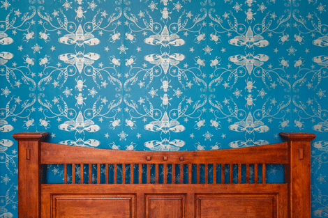 Cicada wallpaper with silver cicadas and other bugs on a blue background showcased on a bedroom wall